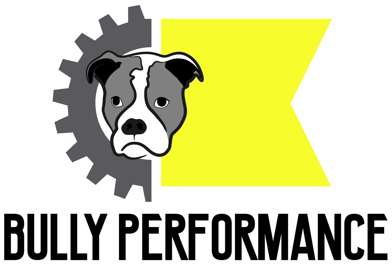 Bully Performance